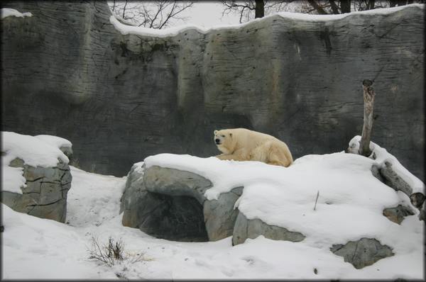 12-30Canada08.jpg