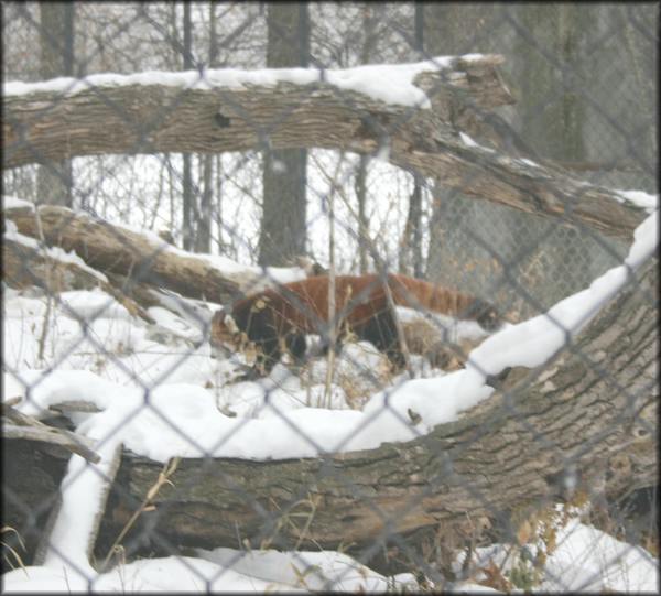 12-30Canada09.jpg