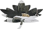 12-30Canada08.jpg