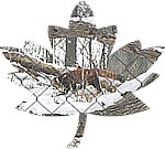 12-30Canada09.jpg