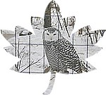 12-30Canada10.jpg