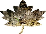 12-30Canada16.jpg