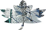 12-30Canada31.jpg