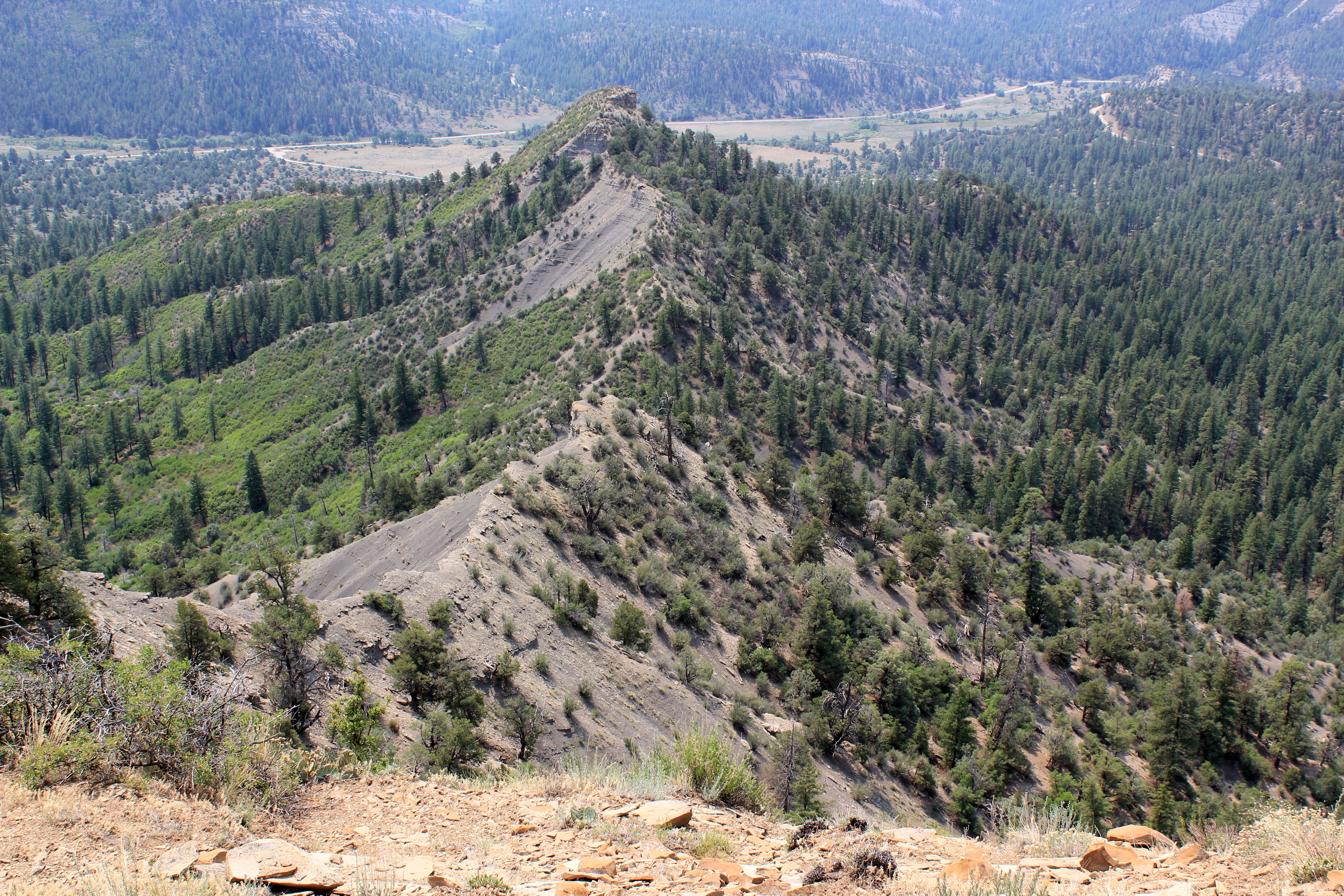 Trail-to-Chimney-Rock