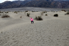 SandDune