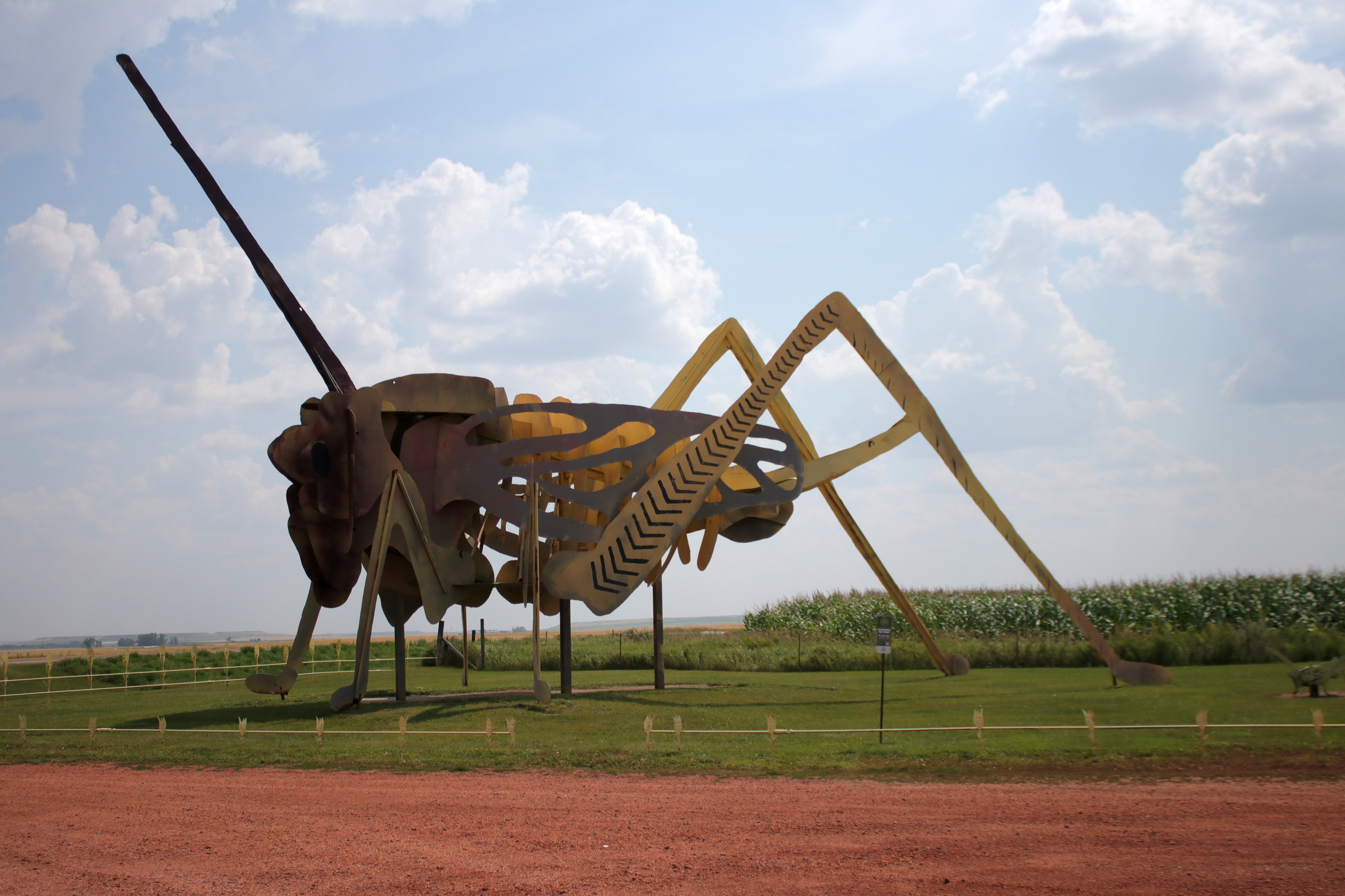 Big-Grasshopper