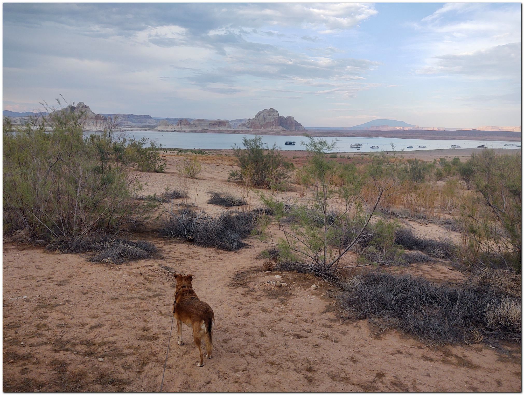 Looking-at-Lake-Powell