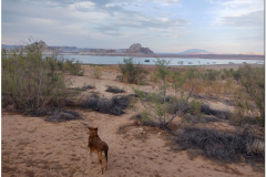 Looking-at-Lake-Powell