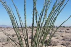20150207_101200