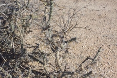 20150207_101213