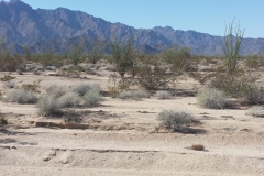 20150207_115338