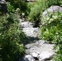stream