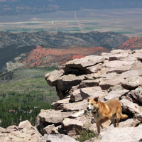 Penne, 9 yrs old, at Brian Head, UT