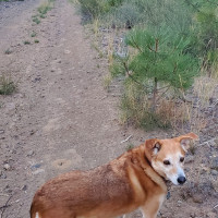 Camping in OR, age 11