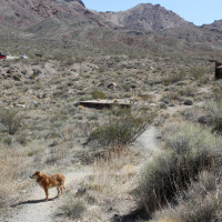 Penne age 10, Death Valley